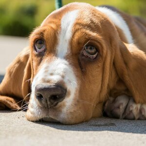 Fundraising Page: Patrick Mcmahon